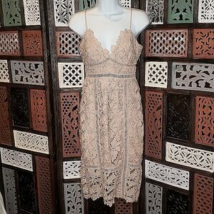 Bardot beige dress sz 4 Like new